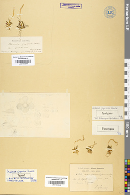 LE 01012245
