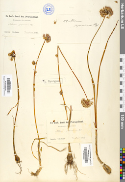 LE 01012558