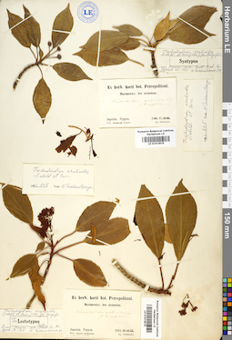 LE 01013575