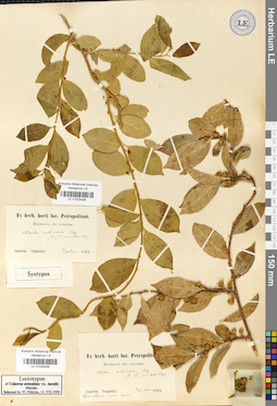 LE 01025439
