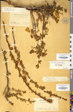 LE 01016193