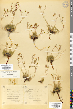 LE 01017022
