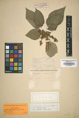 LE 01016501