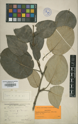 LE 01016511