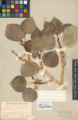 LE 01064449