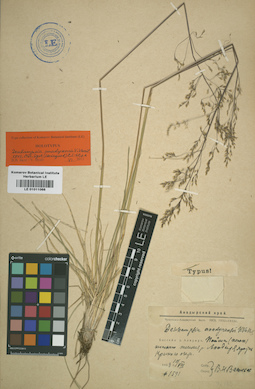 LE 01011066