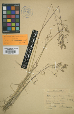 LE 01011067