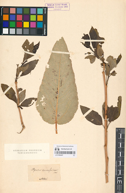 LE 01064447