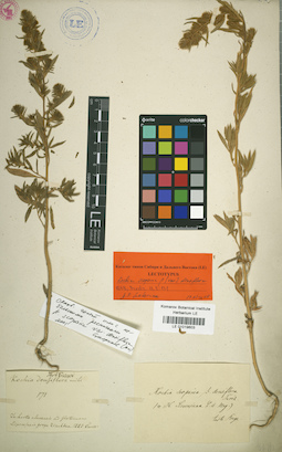 LE 01019603