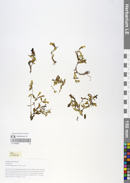LE 01066592