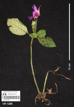 LE 01061220