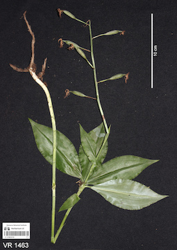 LE 01061010