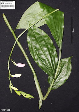 LE 01070191