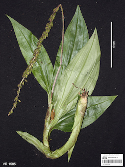 LE 01070192