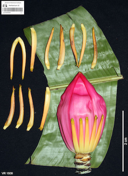 LE 01070161