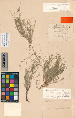LE 01063165