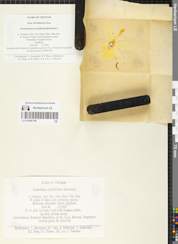 LE 01066158