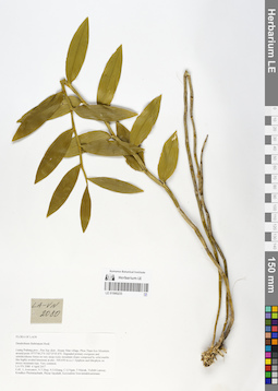 LE 01066235
