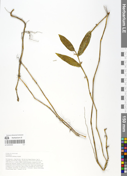 LE 01054263