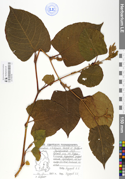 LE 01063186