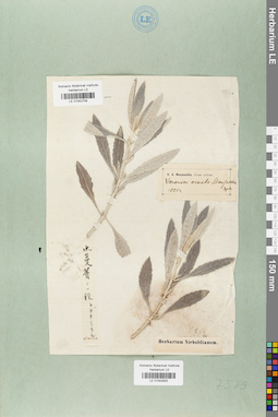 LE 01042820