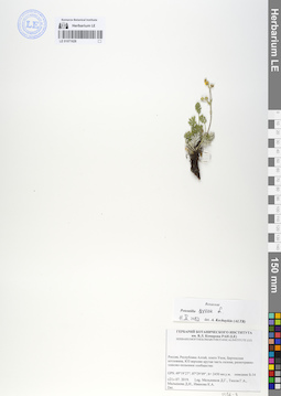 LE 01071628