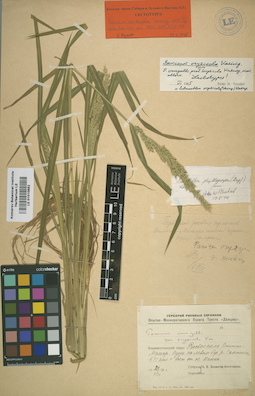LE 01010882
