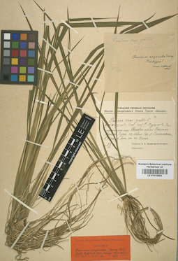 LE 01010883