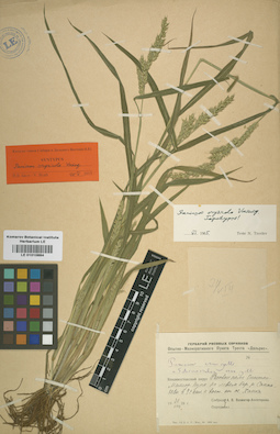LE 01010884