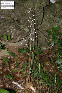 LE 01073271