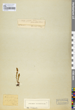 LE 01078107