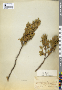 LE 01078134