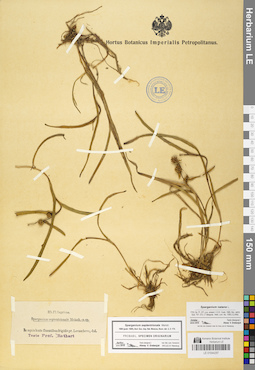 LE 01044297