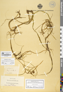LE 01044339
