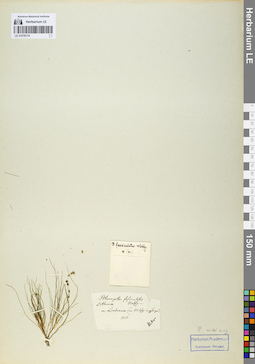 LE 01078174