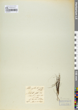 LE 01078175