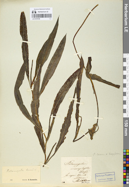 LE 01078189