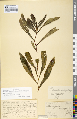 LE 01078196
