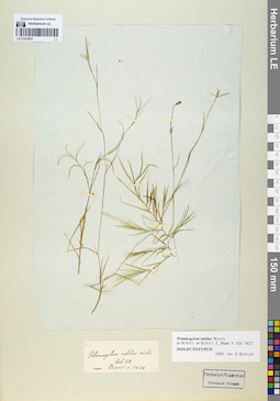 LE 01078201