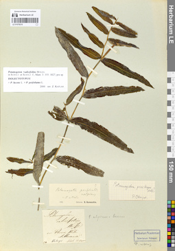 LE 01078210