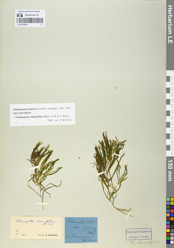 LE 01078216