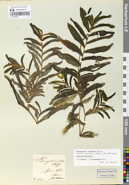 LE 01078224