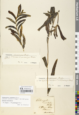 LE 01078227