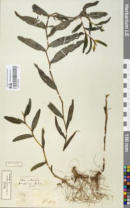 LE 01078228
