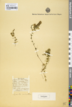 LE 01078237