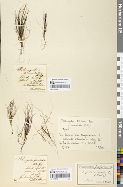 LE 01078169