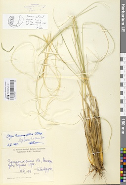 LE 01078367