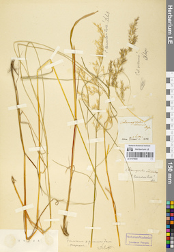 LE 01078600