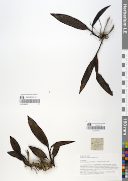 LE 01048710