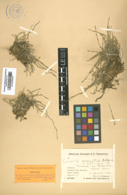 LE 01006307